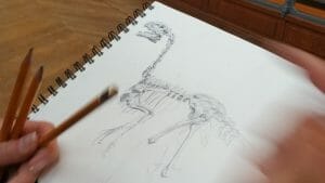 fusain dessin artgraphe bis