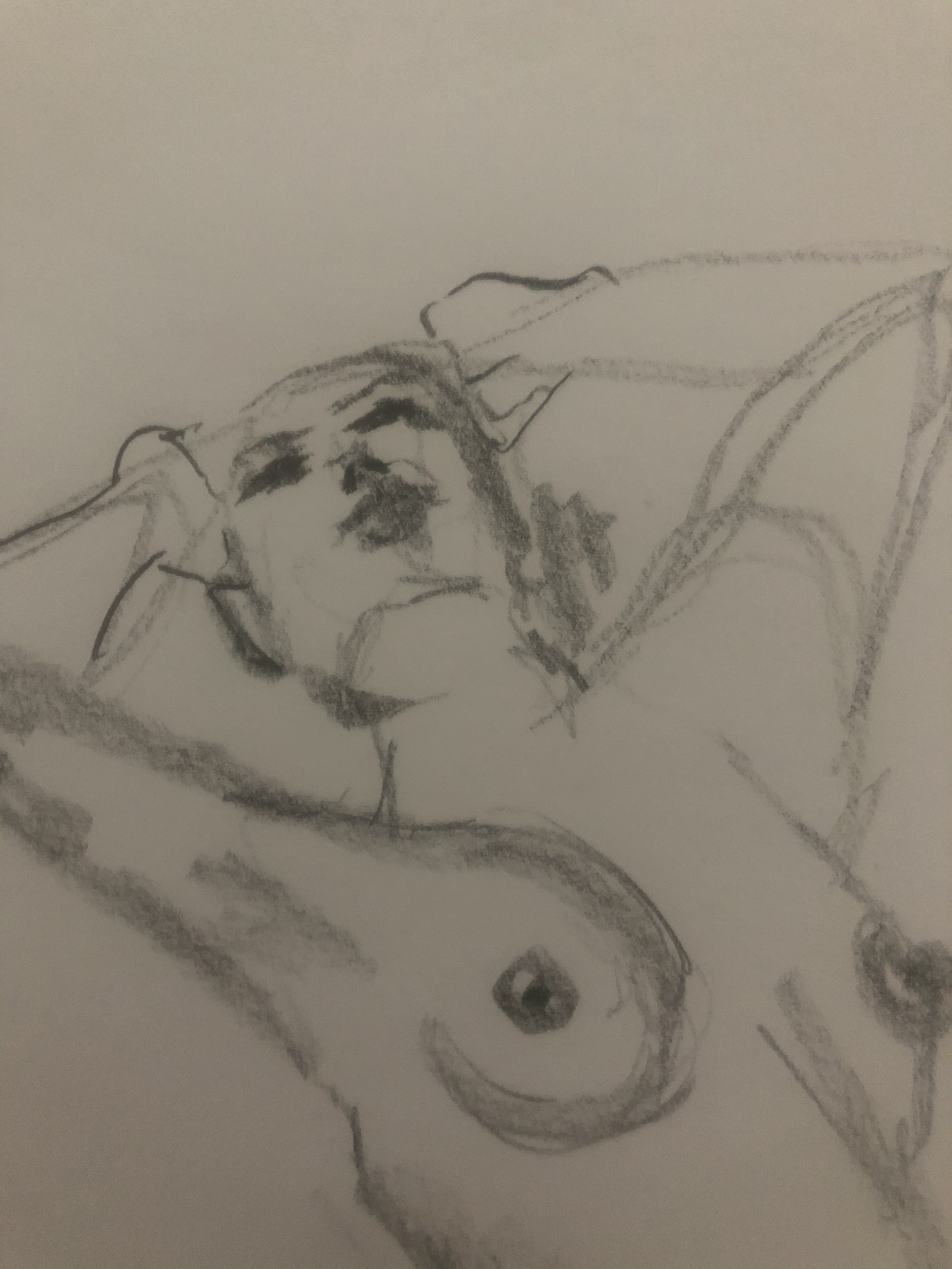  Portrait femme raccourci contre-plongÃ©es fusain sur papier  cours de dessin 