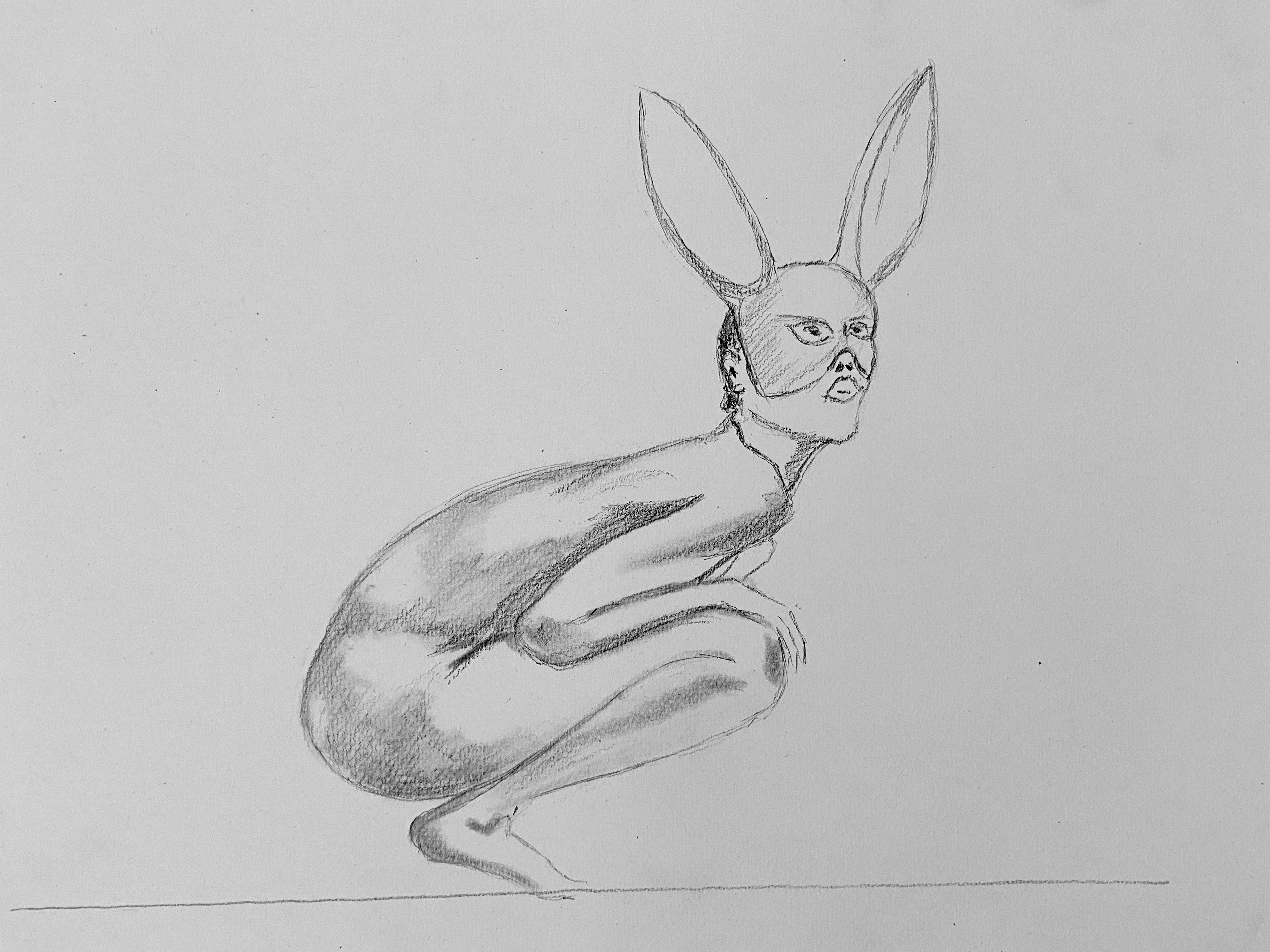  Dessin au crayon papier femme lapin  cours de dessin 